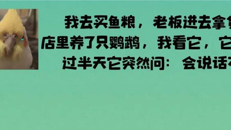 轻盐原味坚果加盟代理：揭秘健康零食的加盟之道